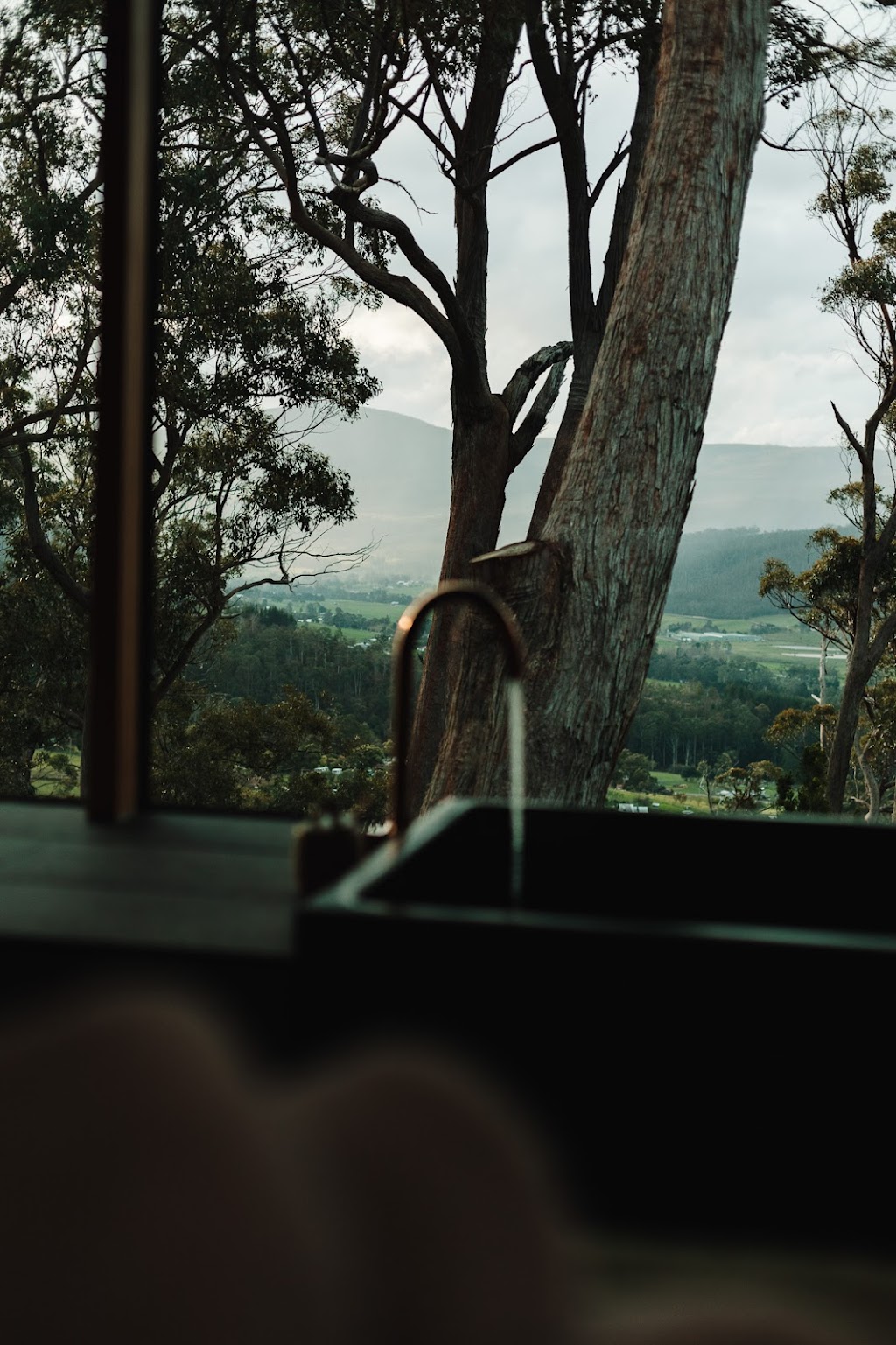 Hunter Huon Valley | 224 Sunny Hills Rd, Glen Huon TAS 7109, Australia | Phone: 0423 488 402