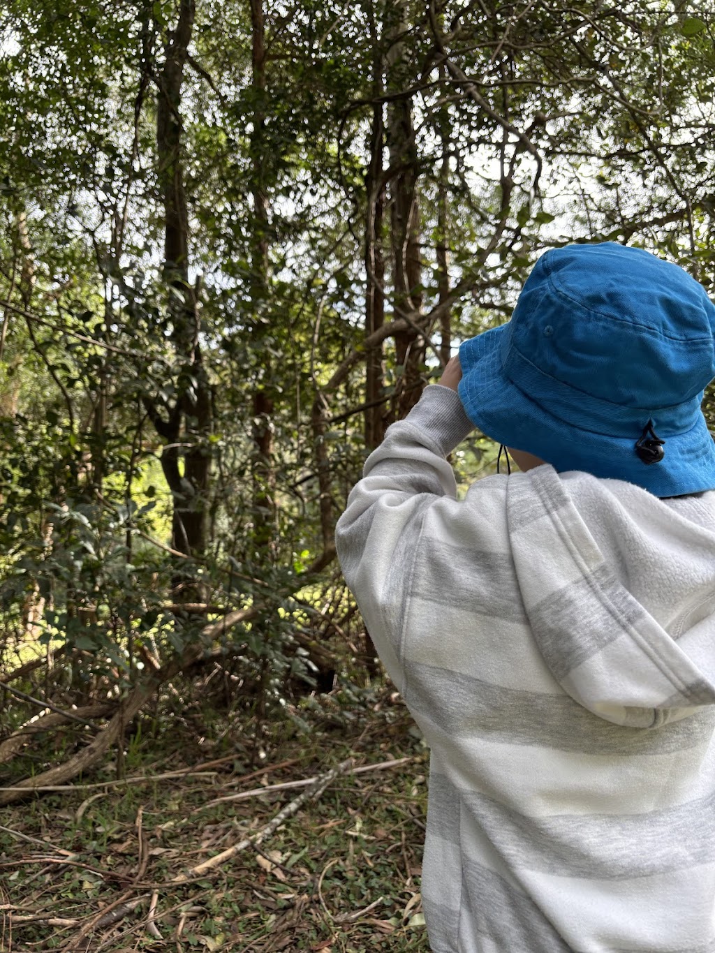 Cuddly Koalas Family Day Care | Rondanella Dr, Kanahooka NSW 2530, Australia | Phone: 0407 100 884