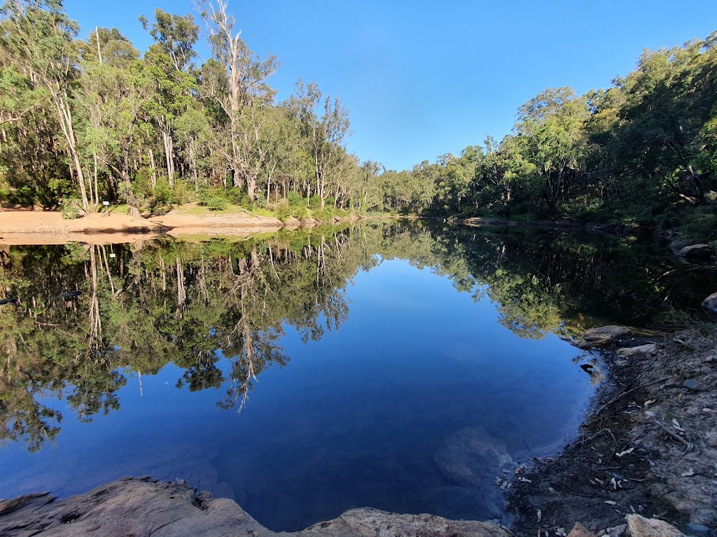 Dwellingup Skate Park and Pump Track | Cnr Moore and, McLarty St, Dwellingup WA 6123, Australia | Phone: (08) 9531 7777