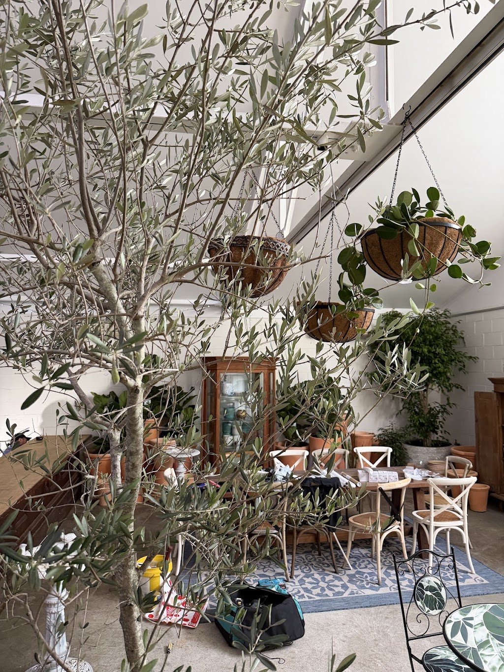 Clay Eatery | 45-47 Tennyson Ave, Turramurra NSW 2074, Australia | Phone: 0437 355 850