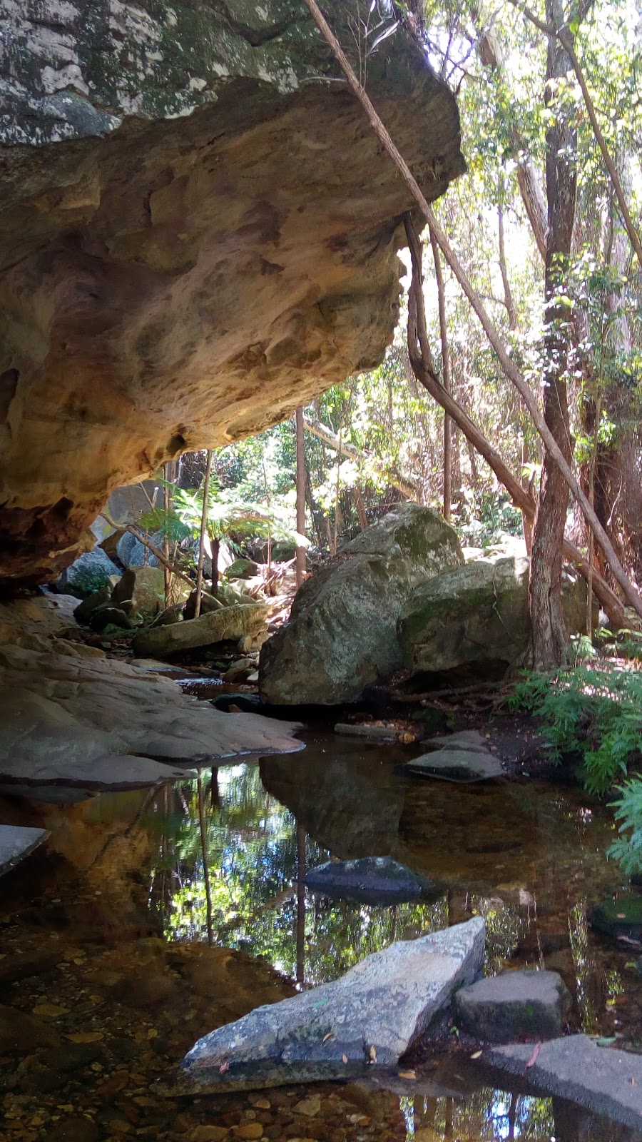 Cania Gorge National Park | park | Monto QLD 4630, Australia | 137468 OR +61 137468