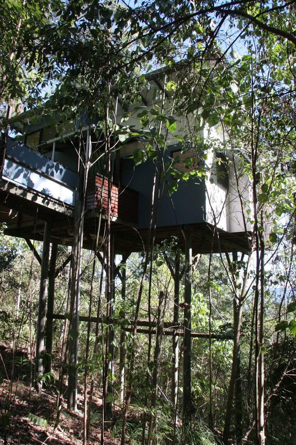 Lyola Pavilions in the Forest | lodging | 198 Policeman Spur Rd, Wootha QLD 4552, Australia | 0754296900 OR +61 7 5429 6900
