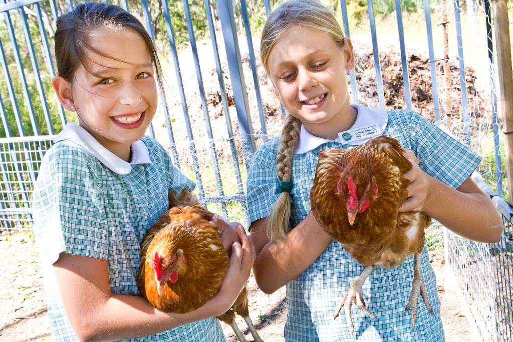 St Josephs Primary School | school | 26C Bulahdelah Way, Bulahdelah NSW 2423, Australia | 0249974189 OR +61 2 4997 4189