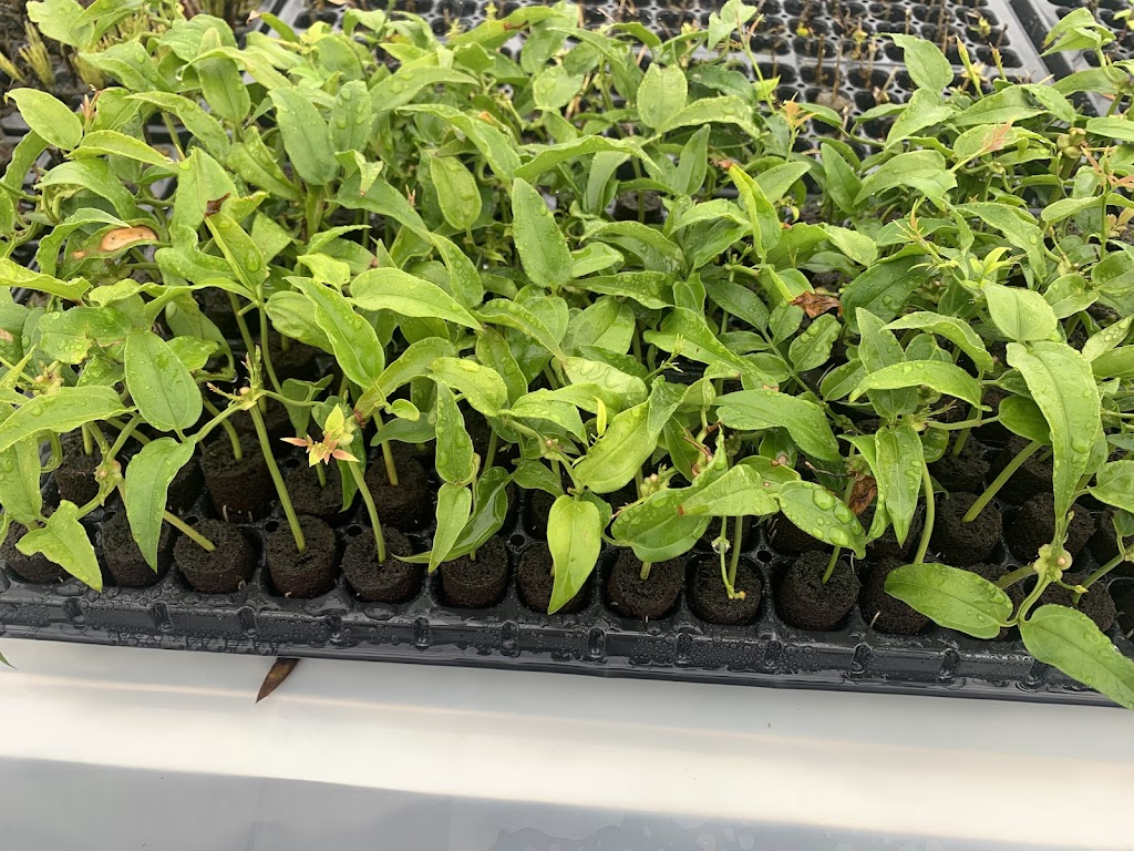 Propteq | 313 Pound Rd, Elliminyt VIC 3250, Australia | Phone: 0493 436 586 Propteq | 313 Pound Rd, Elliminyt VIC 3250, Australia | Phone: 0493 436 586
