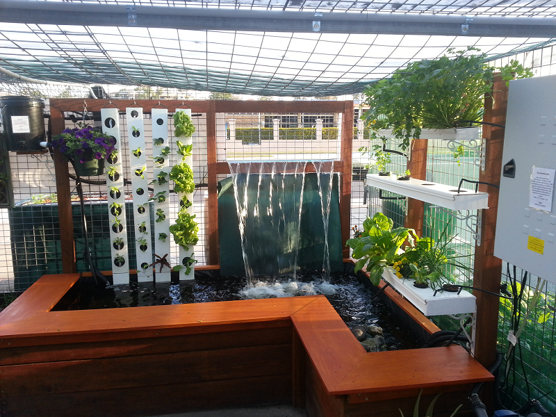 Aqua Gardening | store | 3/4 Billabong St, Stafford QLD 4053, Australia | 0733541588 OR +61 7 3354 1588