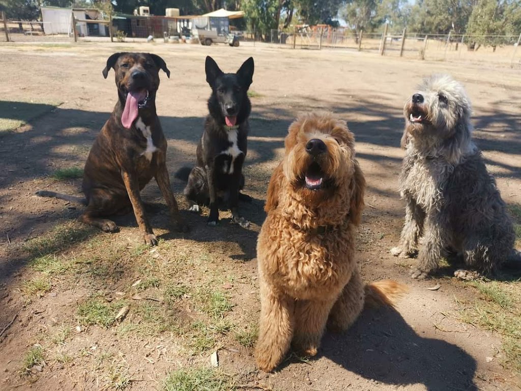Wookie Dogs |  | 134 Swan St, Henley Brook WA 6055, Australia | 0488264453 OR +61 488 264 453