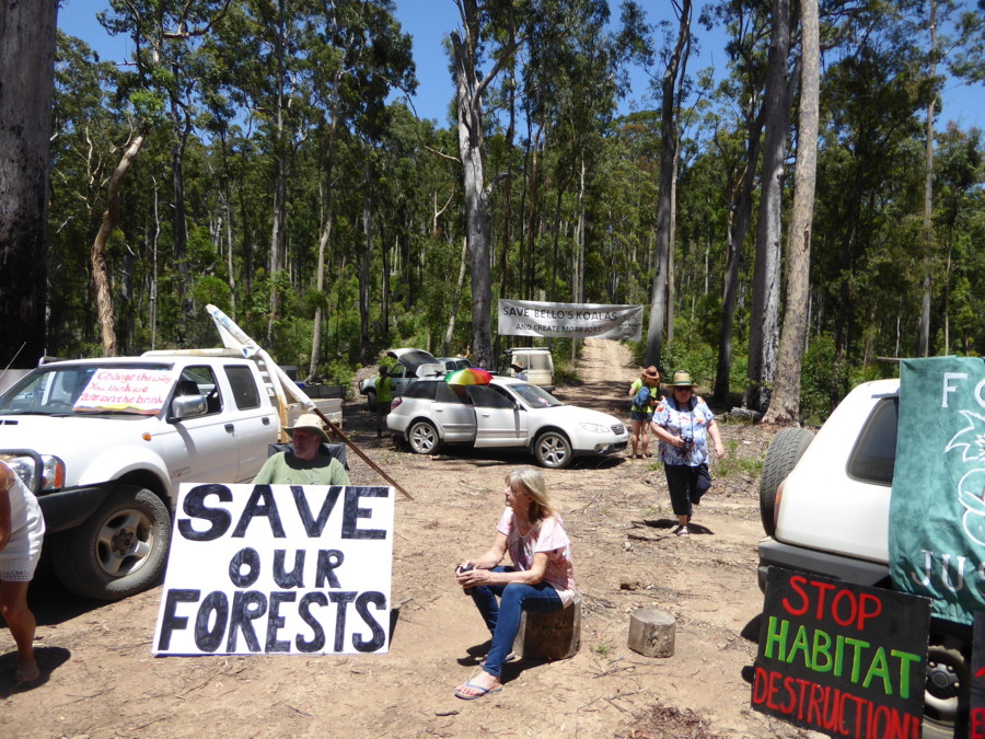 Clarence Environment Centre |  | 87-89 Skinner St, South Grafton NSW 2460, Australia | 0266434611 OR +61 2 6643 4611