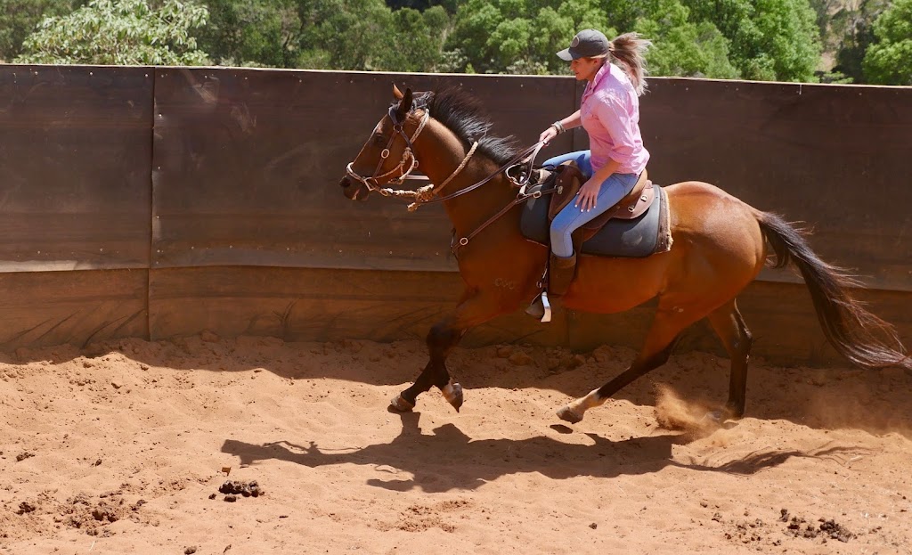Watson Equine | 30 Doomben Ct, Beechmont QLD 4211, Australia | Phone: 0432 891 400