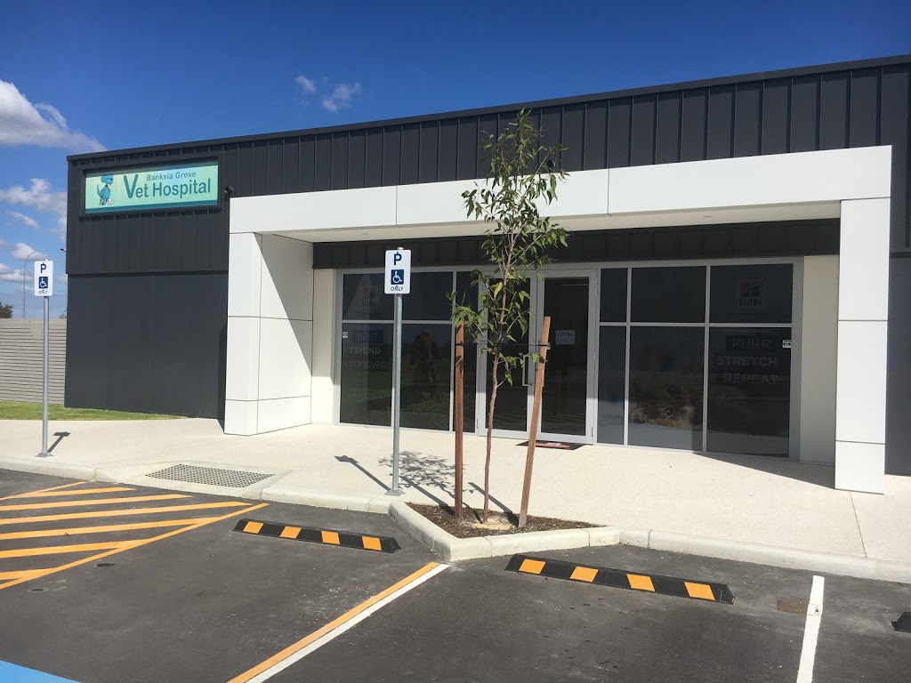 Banksia Grove Veterinary Hospital | veterinary care | 1001 Joondalup Dr, Banksia Grove WA 6031, Australia | 0893062555 OR +61 8 9306 2555