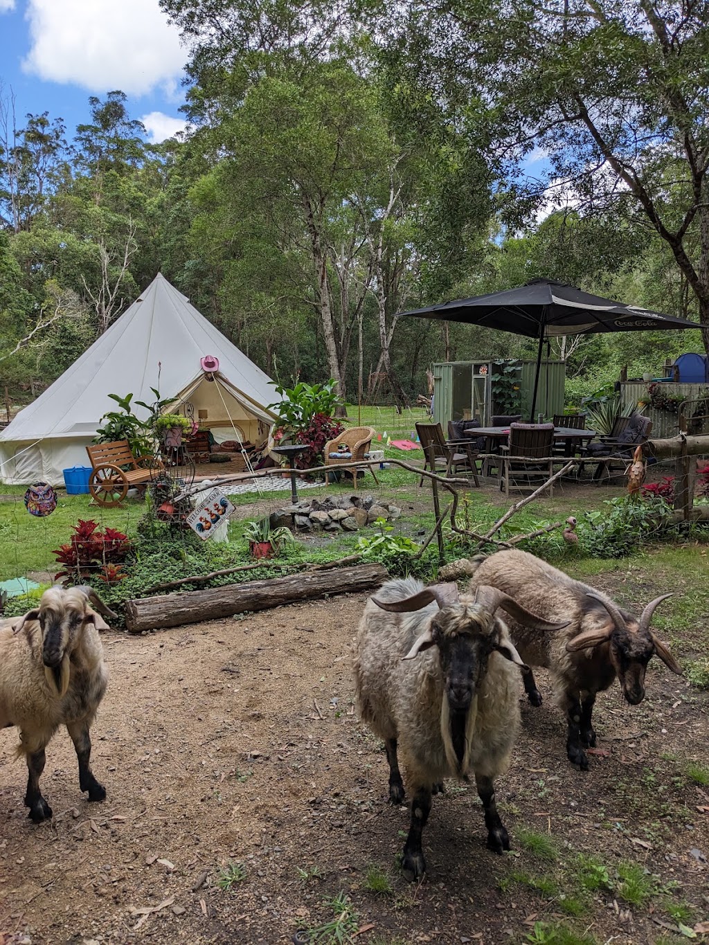 Stony Creek Glamping and Wildlife Haven | 275 Fletcher Rd, Stony Creek QLD 4514, Australia | Phone: 0415 088 182