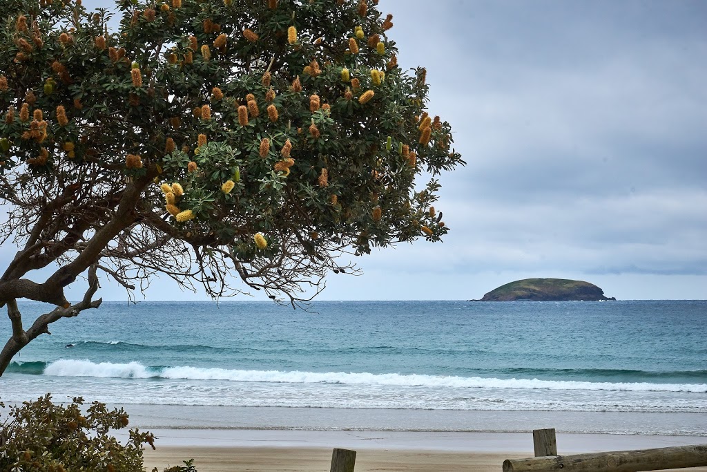 Emerald Beach Reserve | park | Emerald Beach NSW 2456, Australia | 0266484000 OR +61 2 6648 4000