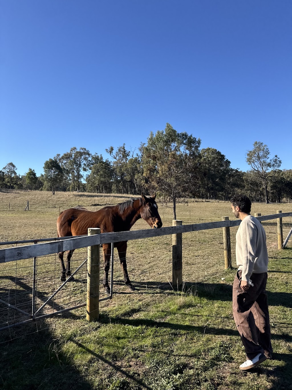 Mudgee & Beyond | 772 Black Springs Rd, Budgee Budgee NSW 2850, Australia | Phone: 0414 475 610