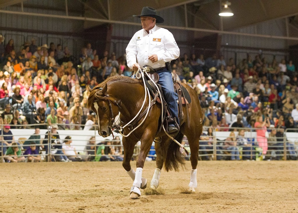 Ian Francis Horsemanship | 1014 Tingoora Chelmsford Rd, Chelmsford QLD 4606, Australia | Phone: (07) 4168 5444