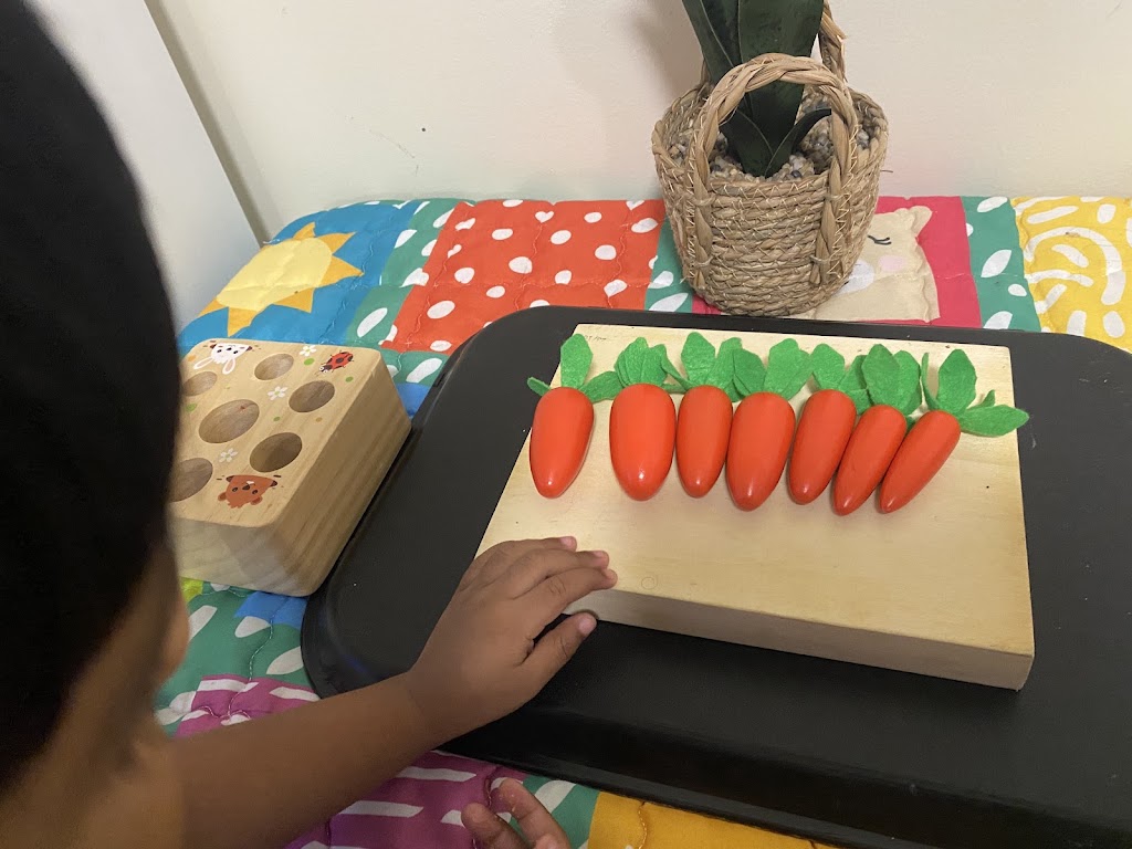 Jannat’s day care centre | 21 Evelyn St, Macquarie Fields NSW 2564, Australia | Phone: 0424 206 711