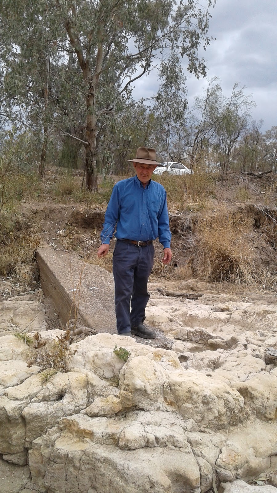 NAMOI RIVER CAMP GROUND. | Baradine-Collarenebri Rd, Pilliga NSW 2388, Australia