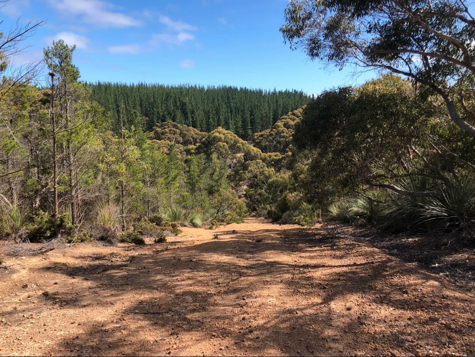 KI Holiday Stays Campsite | Lot 1 Colmans Rd, Gosse SA 5223, Australia | Phone: 0422 807 858