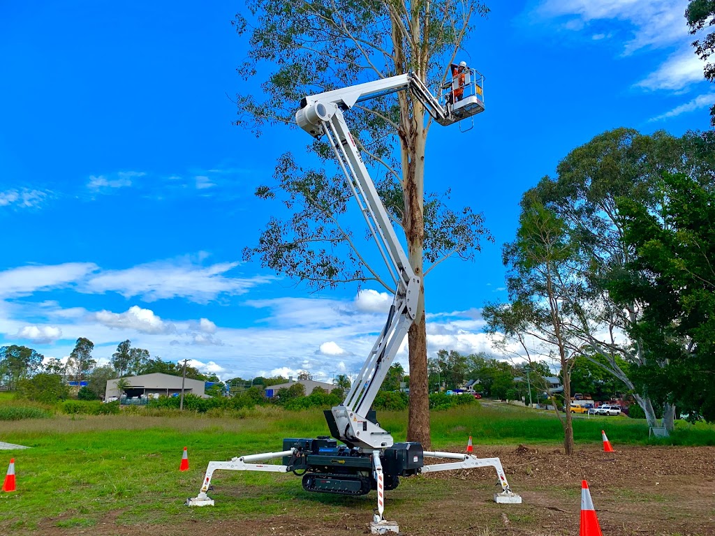 Farrugia Bros Vegetation Management | 3 Elworthy St, Gympie QLD 4570, Australia | Phone: (07) 5482 3315