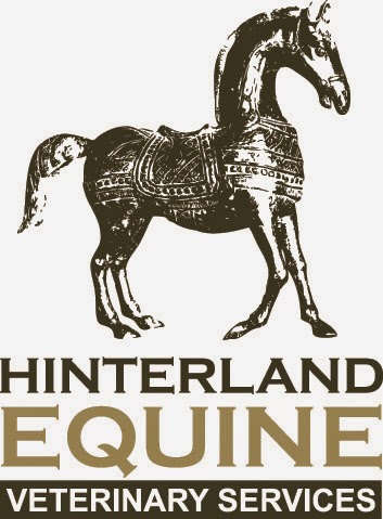 Hinterland Equine Veterinary Services | veterinary care | 317 Valdora Rd, Valdora QLD 4561, Australia | 0754468880 OR +61 7 5446 8880