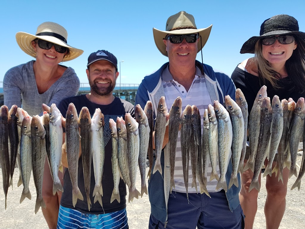 Reel Screamer Fishing Charters |  | 1 Captain Hutchinson Dr, Point Turton SA 5575, Australia | 0439680937 OR +61 439 680 937