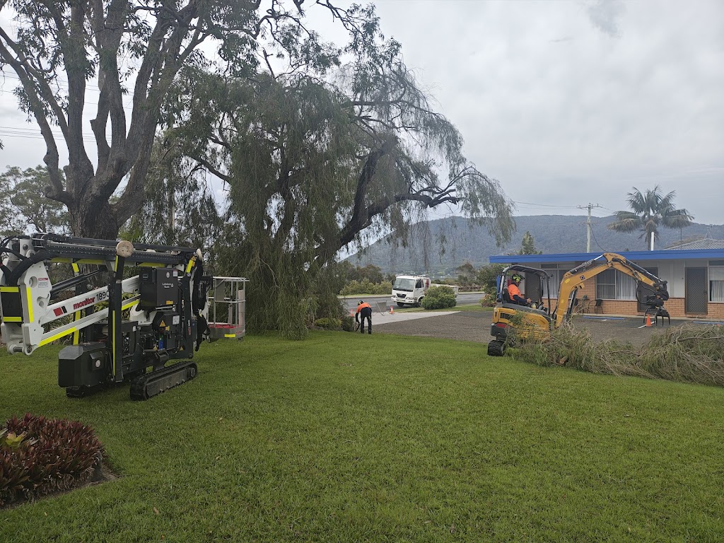 Espie Arb Tree Services | 286 Ocean Dr, Lakewood NSW 2443, Australia | Phone: 0423 329 111