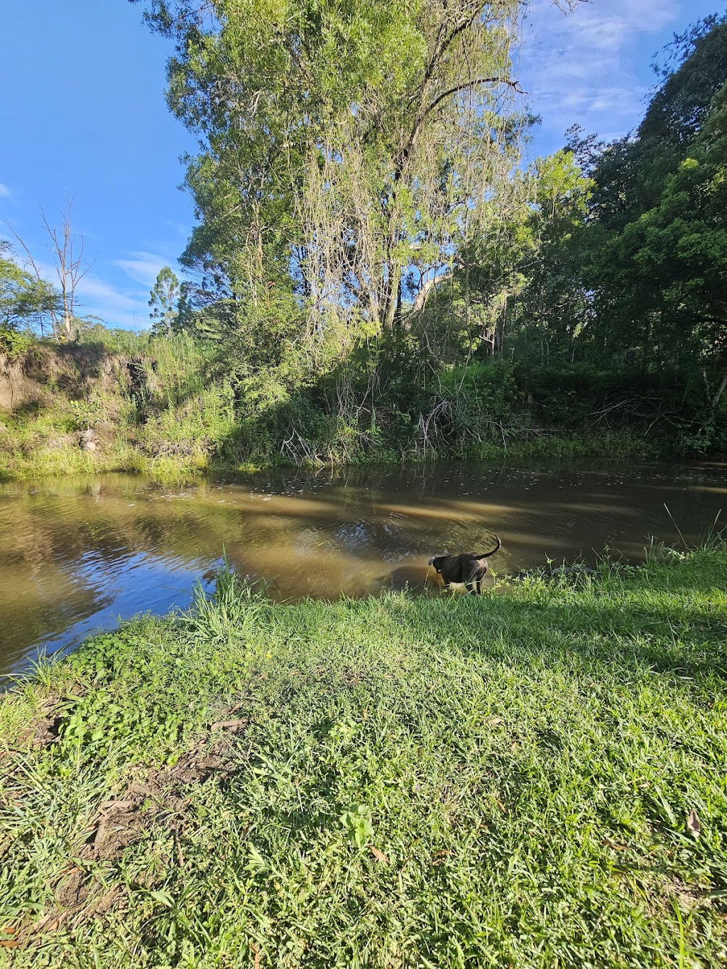 GingerNut Farm | 109 Atkins Rd, Cawongla NSW 2474, Australia | Phone: 0435 007 555