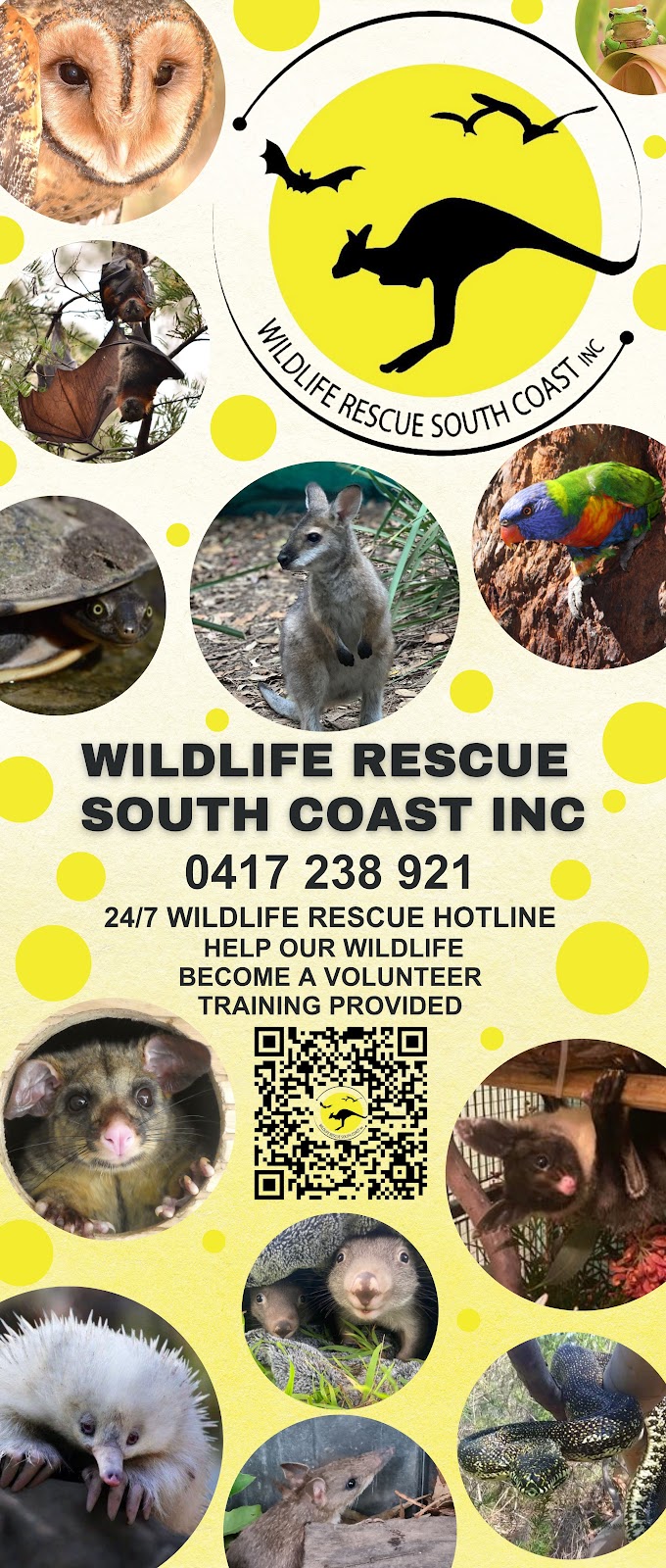 Shoalhaven Bat Clinic- Wildlife Rescue South Coast | Princes Hwy, Nowra NSW 2541, Australia | Phone: 0418 427 214