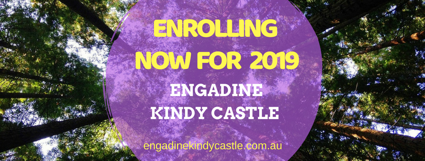 Engadine Kindy Castle | 1 Kanandah Rd, Engadine NSW 2233, Australia | Phone: (02) 9548 0388