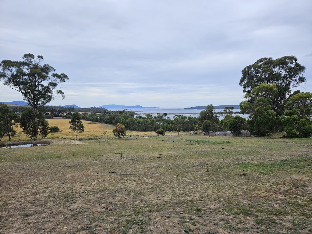 Phoenix Farm Tasmania | 25 Bay Rd, Boomer Bay TAS 7177, Australia | Phone: 0418 340 832