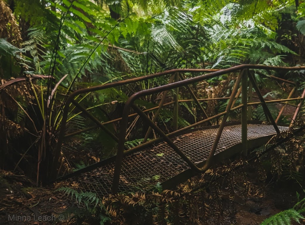 Glen Nayook Rainforest Walk | park | Paynter Rd, Neerim Junction VIC 3832, Australia