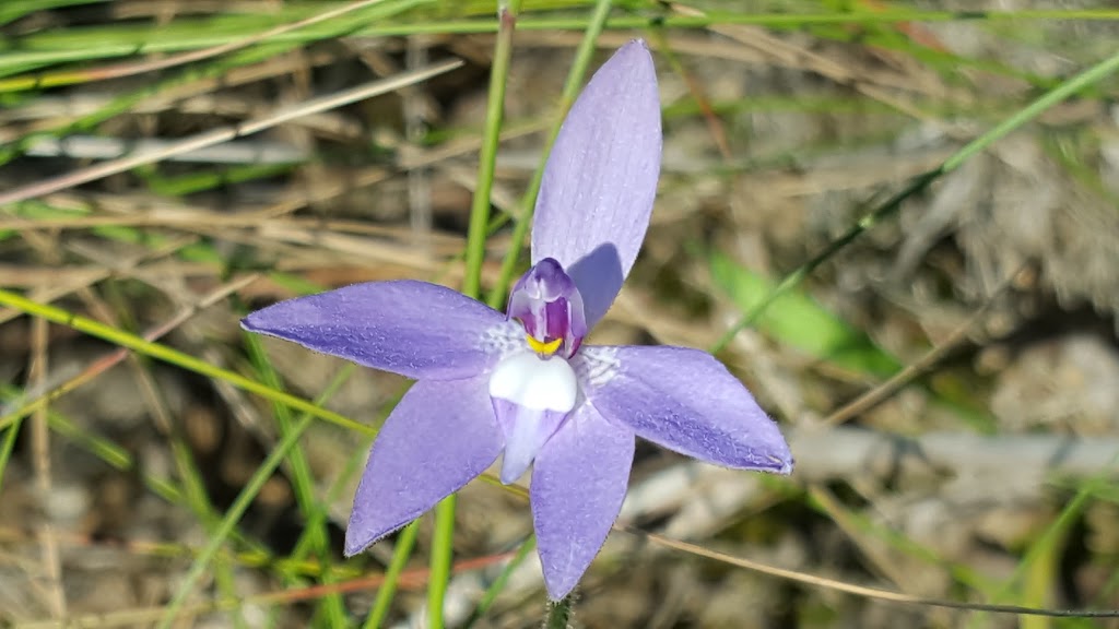 Sherwins Range Reserve | Humevale VIC 3757, Australia