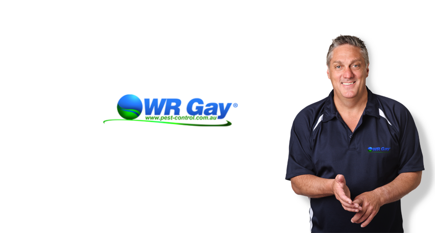 WR Gay Pest Control | home goods store | 15 Heidelberg Rd, Clifton Hill VIC 3068, Australia | 1300897934 OR +61 1300 897 934