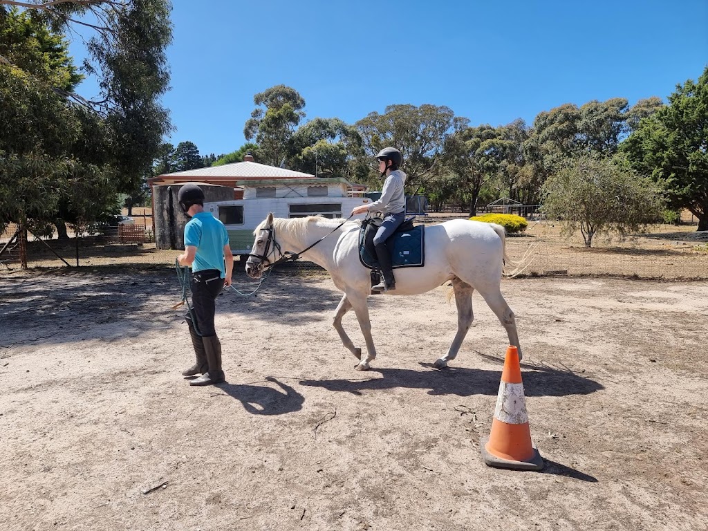 Rebel Equestrian Centre | 29 William Ct, Berringa VIC 3351, Australia | Phone: 0406 498 528