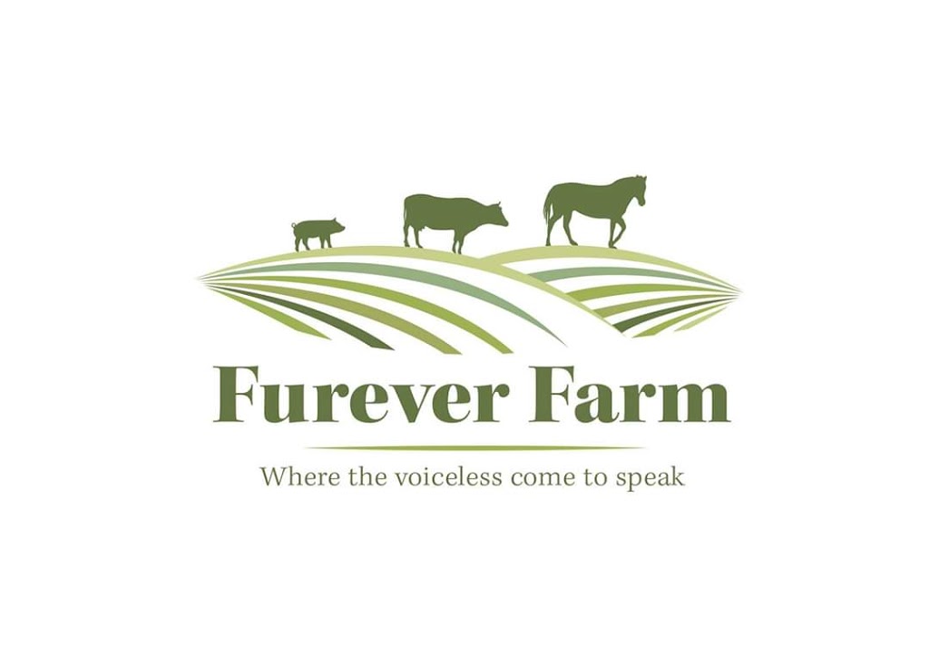 Furever Farm |  | 148 Gogel Rd, Rockleigh SA 5254, Australia | 0434842621 OR +61 434 842 621