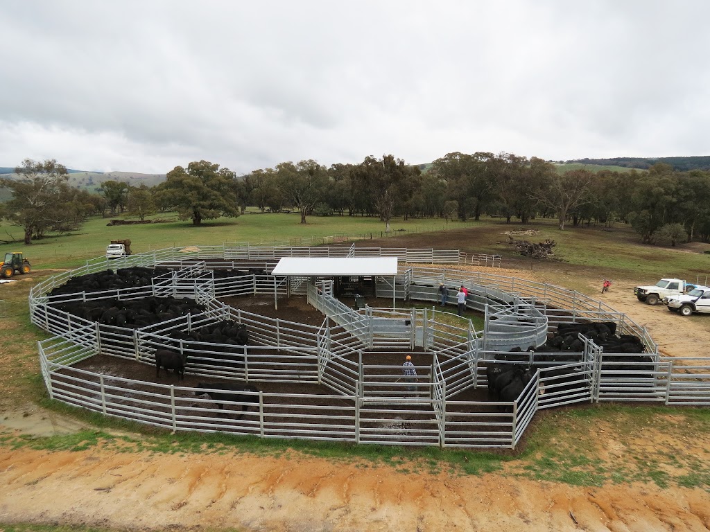 ProWay Livestock Equipment - Casterton Office | 74 Henty St, Casterton VIC 3311, Australia | Phone: (02) 6932 4000