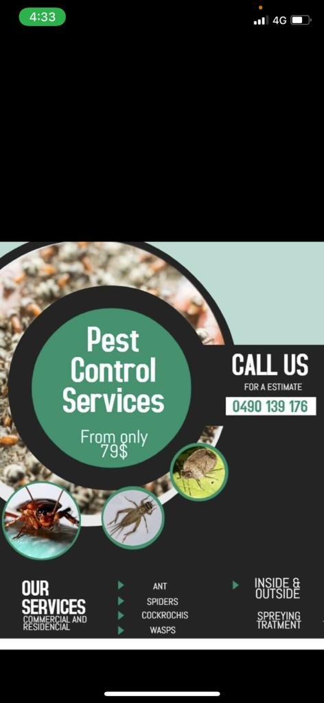 Evil Ant Pest Control | home goods store | 9 Thulimbah St, Coopers Plains QLD 4108, Australia | 0490139176 OR +61 490 139 176