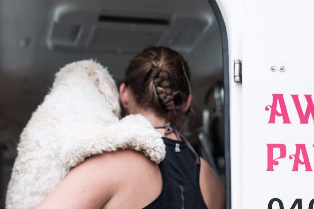 Awesome Pawsome - Mobile Pet Grooming & Wash | 20 Grant St, Hendra QLD 4011, Australia | Phone: 0407 244 515