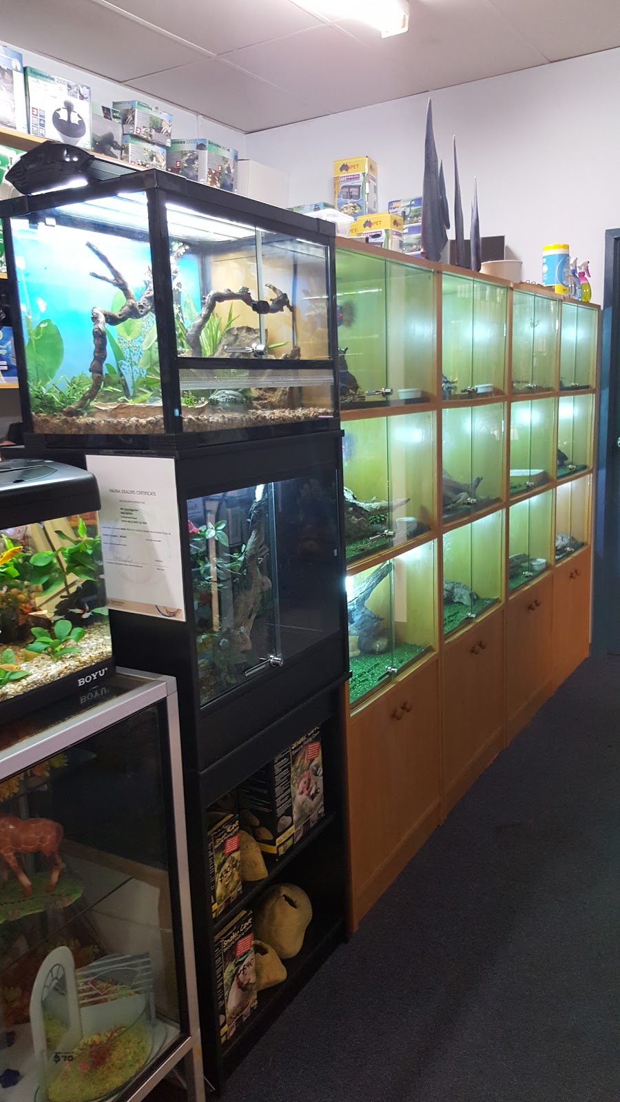 Fish Haven Australias Largest Fish & Aquarium Centre | 3 Newfield Rd, Para Hills West SA 5096, Australia | Phone: (08) 8359 1311