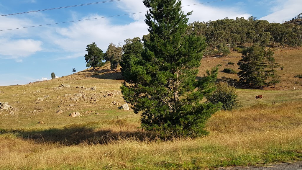 Burrowa - Pine Mountain National Park | Tintaldra VIC 3708, Australia | Phone: 13 19 63