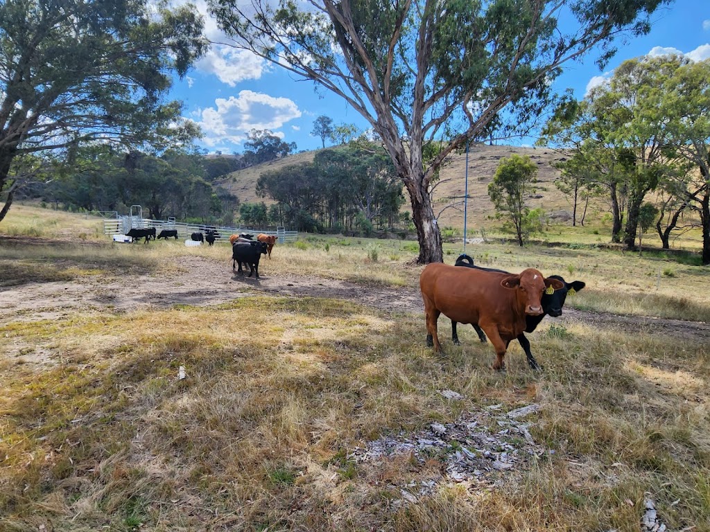 Willowleaf Properties P/L | 21 Paddys Cl, Lower Boro NSW 2580, Australia | Phone: 0437 977 861