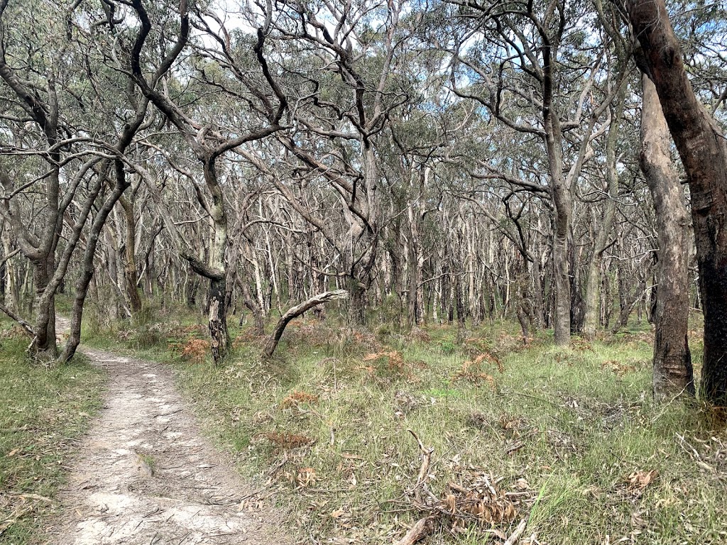 TC McKellar Circuit Walk | park | Tc McKellar Circuit Walk, Arthurs Seat VIC 3936, Australia