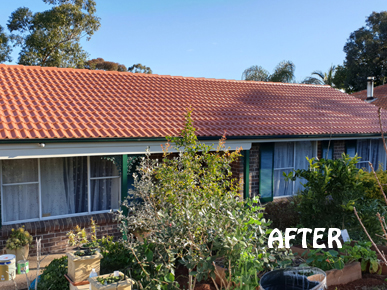 RAD Roof Painting Services - Hills District Roof Restoration & P | Servicing all Hills District, Castle Hill, Rouse Hill, Bella Vista, Kellyville Kenthurst, Pennant Hills, Kenthurst, Cherrybrook, Westleigh, Glenhaven Blacktown, The Ponds, Winston Hills, Stanhope Gardens, 69 Quarry Rd, Dural NSW 2158, Australia | Phone: 0409 904 822