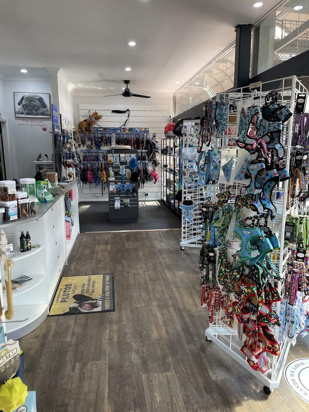 The Dog Shop Warners Bay | 9/450 The Esplanade, Warners Bay NSW 2282, Australia | Phone: 0400 176 257