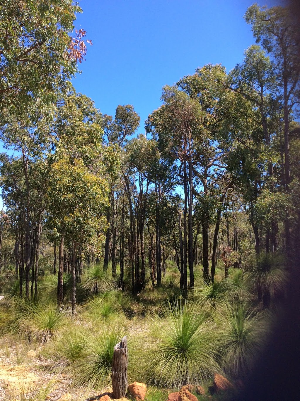 Complete Kinesiology | Timbertop Way, Stoneville WA 6081, Australia | Phone: 0400 025 345