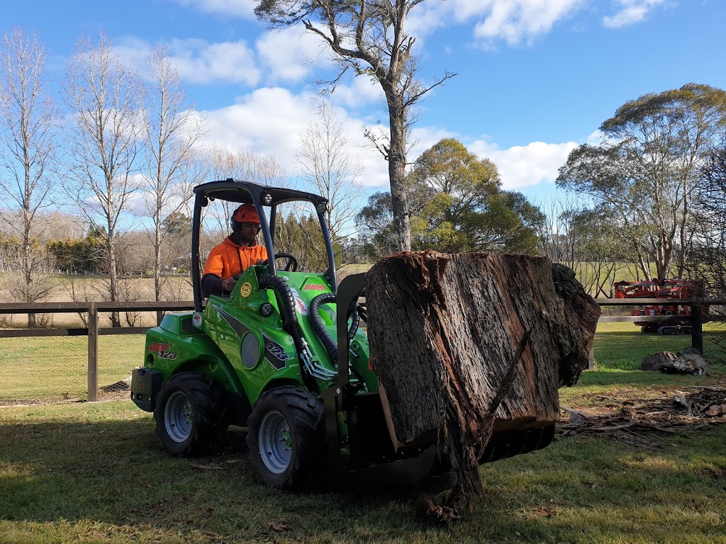 Barnes Tree Services | 36 Garrett St, Moss Vale NSW 2577, Australia | Phone: 0425 395 388