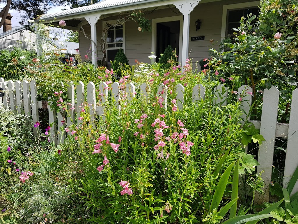 CPR Horticultural Services | 198 Wilson Dr, Hill Top NSW 2575, Australia | Phone: 0415 500 261