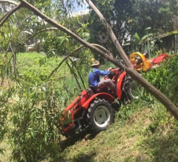 Channel Slashing Solutions | 27 Frosts Rd, Margate TAS 7054, Australia | Phone: 0419 912 944