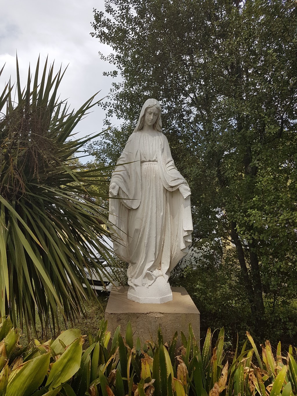 Community of The Holy Name | health | 40 Cavanagh St, Cheltenham VIC 3192, Australia | 0395832087 OR +61 3 9583 2087