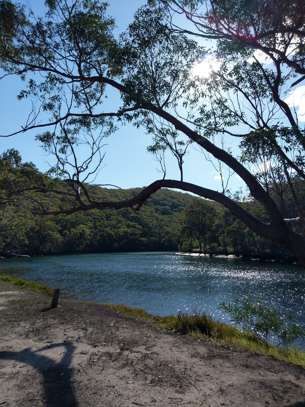 Willow Tree Flat picnic area | park | Royal National Park NSW 2233, Australia