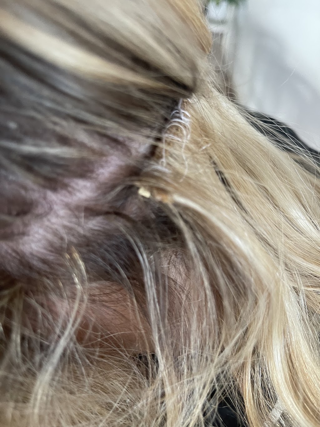 Hair Colosseum Tuggerah | Westfield Tuggerah, l1 shop 1006/50 Wyong Rd, Tuggerah NSW 2259, Australia | Phone: (02) 4396 5281
