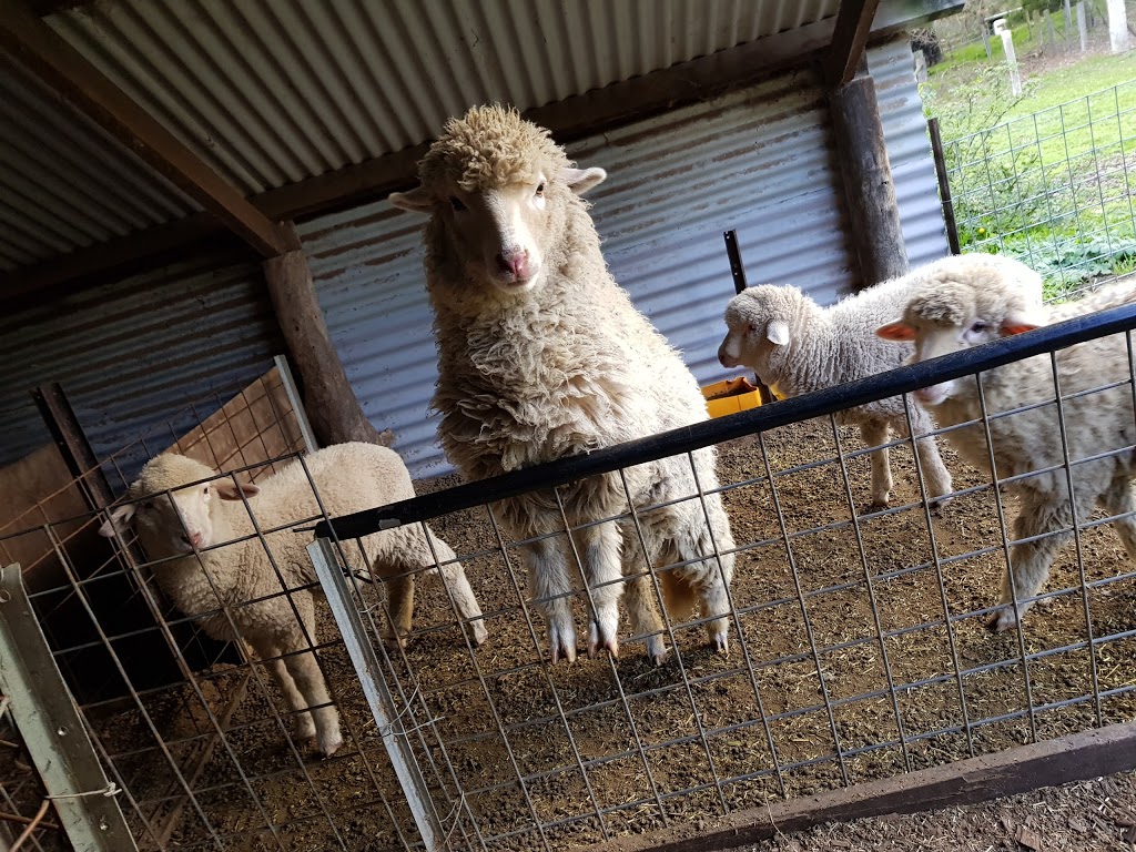 Yallingup Shearing Shed | 1442 Wildwood Rd, Yallingup WA 6282, Australia